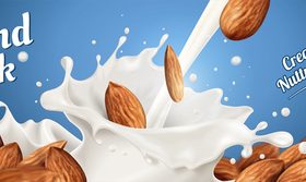 Almond milk advertising poster vector 03