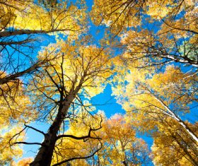 Amazing nature beautiful scenery Stock Photo 01