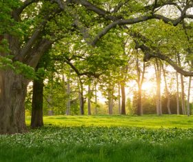 Amazing nature beautiful scenery Stock Photo 04