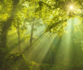 Amazing nature beautiful scenery Stock Photo 07