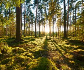 Amazing nature beautiful scenery Stock Photo 10