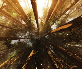 Amazing nature beautiful scenery Stock Photo 14