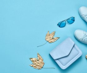 Autumn Fashion Object Stock Photo 05
