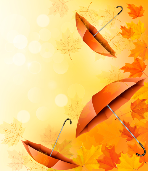Autumn abstract background with color leaves and umbrelles vector