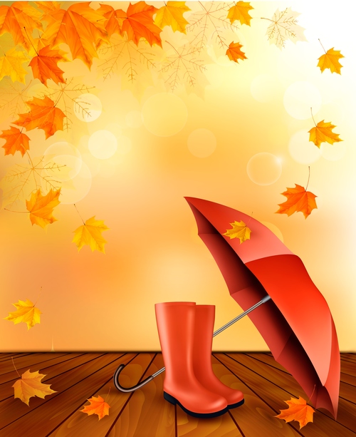 Autumn background with color leaves and umbrella and rubber vector