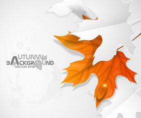 Autumn background with paper cutting leaves vector
