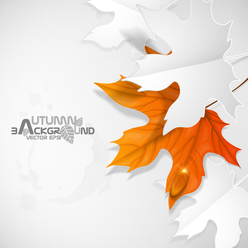 Autumn background with paper cutting leaves vector