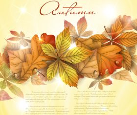 Autumn background with sunlight vector 01