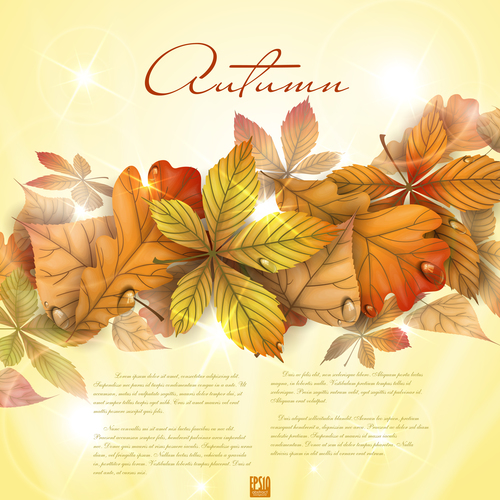 Autumn background with sunlight vector 01