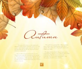 Autumn background with sunlight vector 02