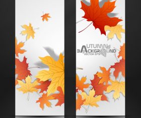Autumn banner and red maple leaves vector