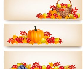 Autumn holiday banners with beauty colorful leaves and fruit vector