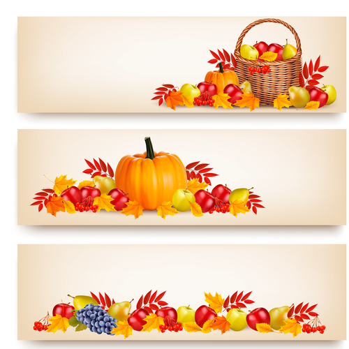 Autumn holiday banners with beauty colorful leaves and fruit vector