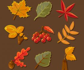 Autumn leaves illustration with berry vector