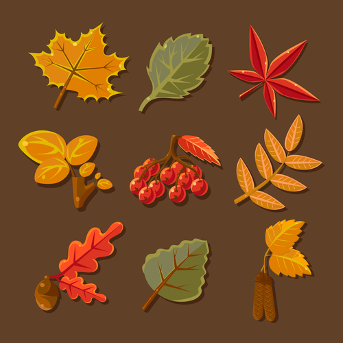 Autumn leaves illustration with berry vector