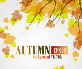Autumn leaves with autumn background design vector 01