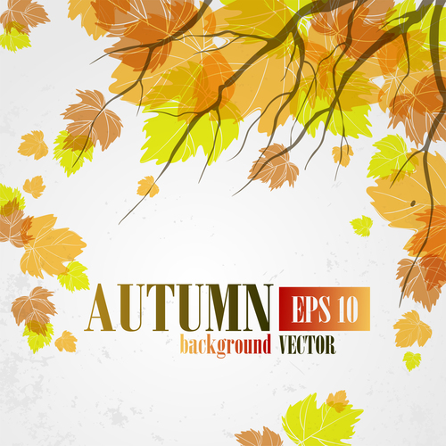 Autumn leaves with autumn background design vector 01