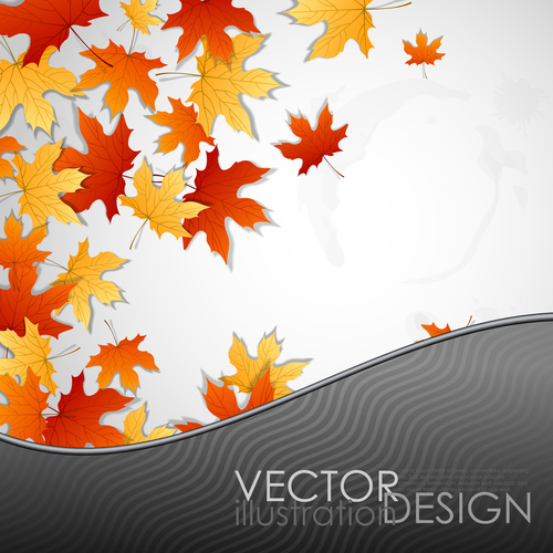 Autumn leaves with wavy background vector