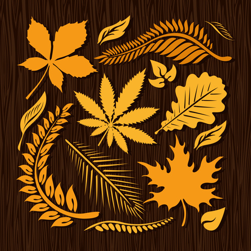 Autumn leaves with wood texture background vector
