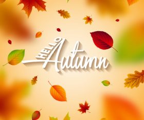 Beautiful autumn background art vector 01