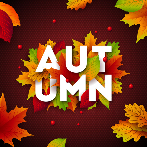 Beautiful autumn background art vector 02