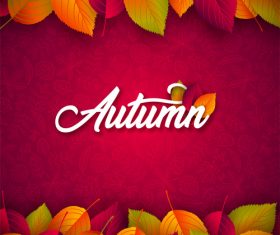 Beautiful autumn background art vector 05