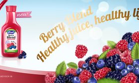 Berry juice adv poster template vector 03