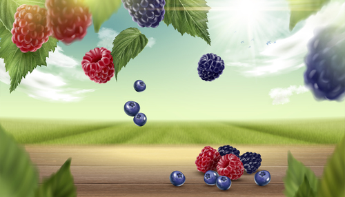 Berry with natural background vector 01