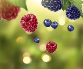 Berry with natural background vector 02
