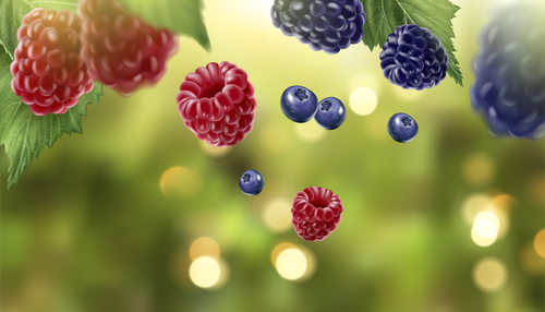 Berry with natural background vector 02