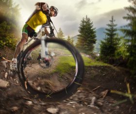 Bicycle cross-country competition Stock Photo