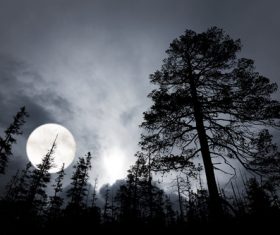 Bright round moon Stock Photo