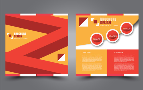 Brochure cover with modern design vector 06