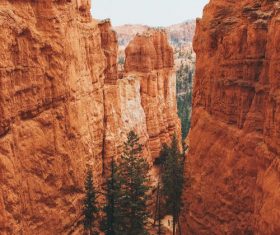 Bryce Canyon United States Stock Photo