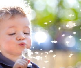 Child playing in the park Stock Photo 02