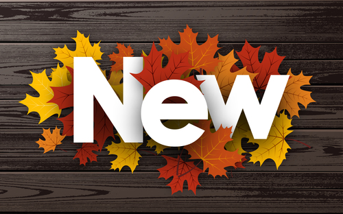 Colored autumn leaves with wooden background vector 01