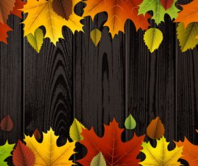 Colored autumn leaves with wooden background vector 02