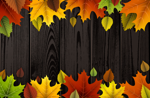 Colored autumn leaves with wooden background vector 02