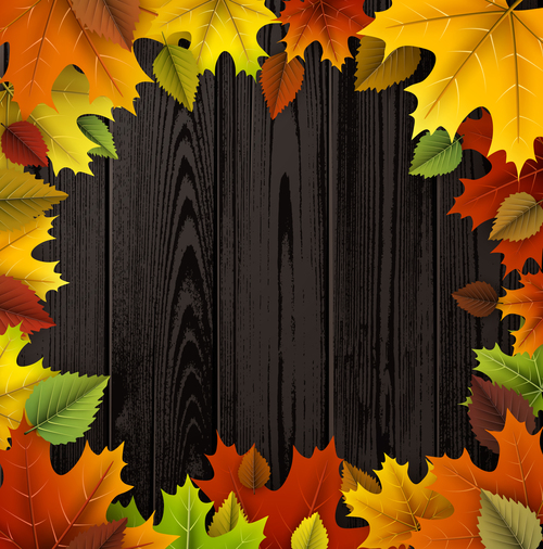 Colored autumn leaves with wooden background vector 03