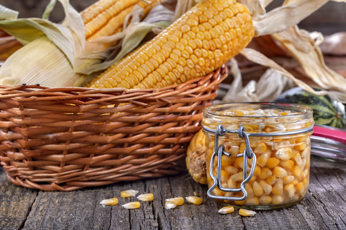 Corn on the desktop Stock Photo