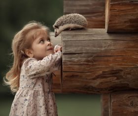 Cute little girl looking at the hedgehog on the wood Stock Photo