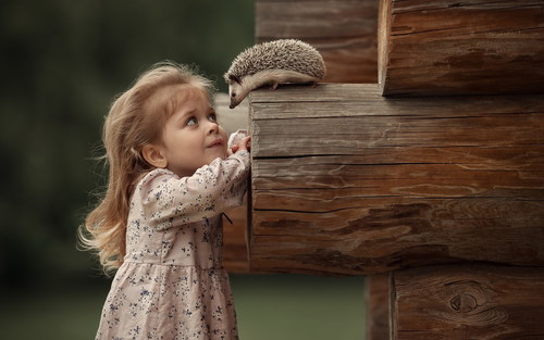 Cute little girl looking at the hedgehog on the wood Stock Photo