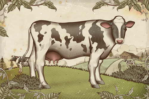 Dairy farm poster vector design 04