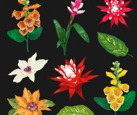 Different flower illustration vector material