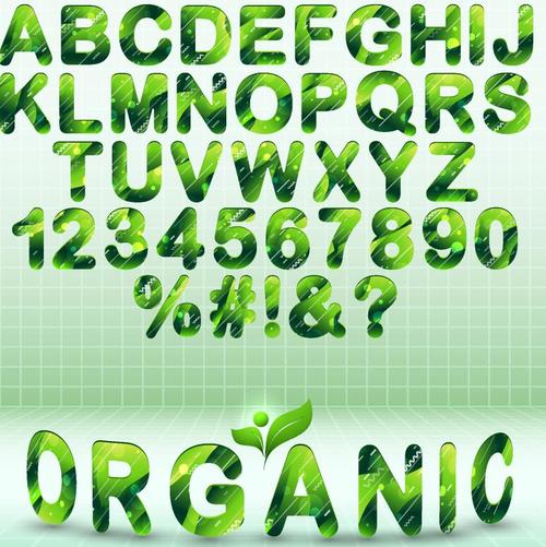 Eco green alphabet fonts vector