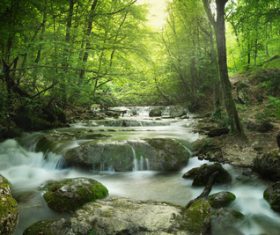 Flowing stream in the forest Stock Photo