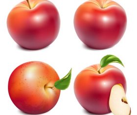 Fresh apples design vectors set 01