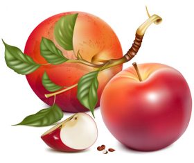Fresh apples design vectors set 04