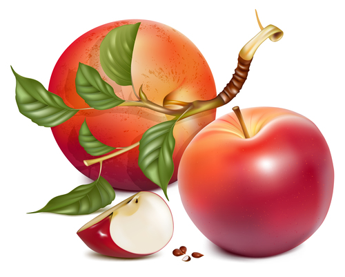 Fresh apples design vectors set 04