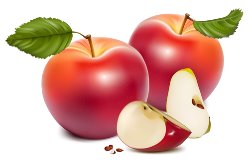 Fresh apples design vectors set 05